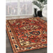 Traditional Saffron Red Persian Rug in Family Room, tr388