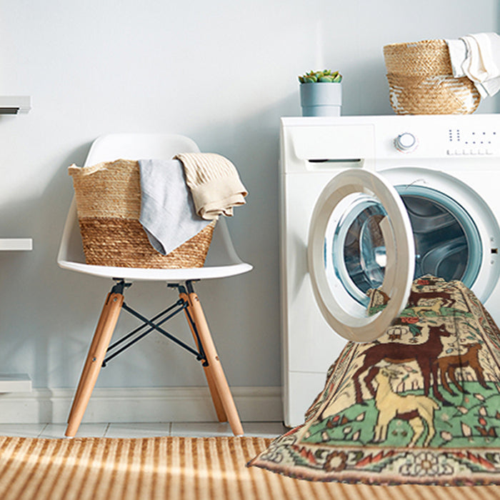 Machine Washable Traditional Sienna Brown Rug in a Washing Machine, wshtr3893