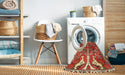 Machine Washable Traditional Red Rug in a Washing Machine, wshtr3895