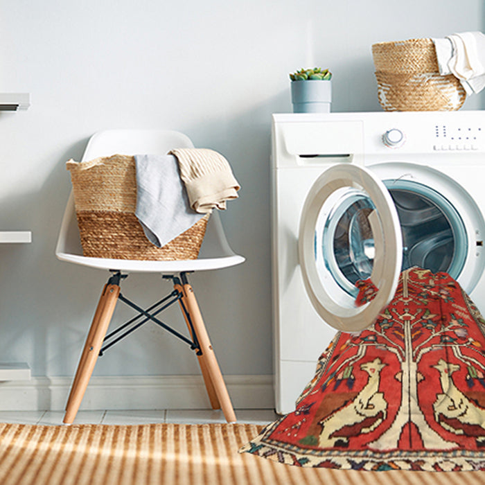 Machine Washable Traditional Red Rug in a Washing Machine, wshtr3895