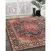 Traditional Saffron Red Medallion Rug in Family Room, tr3899