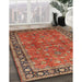 Traditional Bronze Brown Oriental Rug in Family Room, tr38