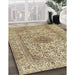 Machine Washable Traditional Brown Rug in a Family Room, wshtr3904