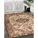 Traditional Dark Sienna Brown Medallion Rug in Family Room, tr3915