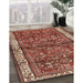 Traditional Red Persian Rug in Family Room, tr3917