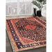 Traditional Copper Red Pink Persian Rug in Family Room, tr391