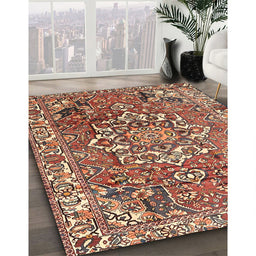 Traditional Brown Red Persian Rug in Family Room, tr3924