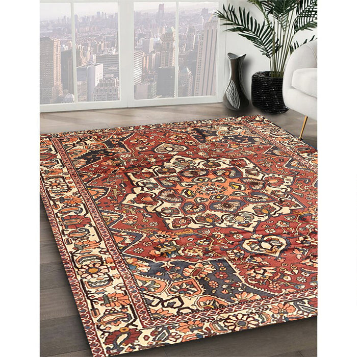Traditional Brown Red Persian Rug in Family Room, tr3924