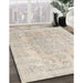 Machine Washable Traditional Light French Beige Brown Rug in a Family Room, wshtr3942