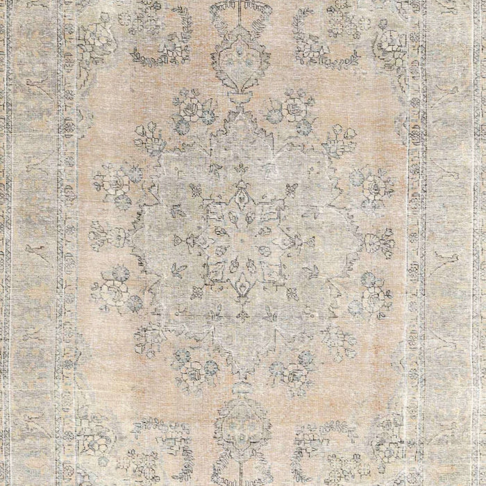 Traditional Light French Beige Brown Persian Rug, tr3942
