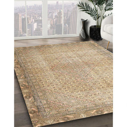 Traditional Orange Brown Persian Rug in Family Room, tr3943