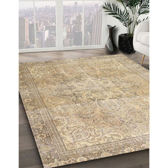 Traditional Brown Persian Rug in Family Room, tr3944