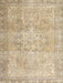 Traditional Brown Persian Rug, tr3944