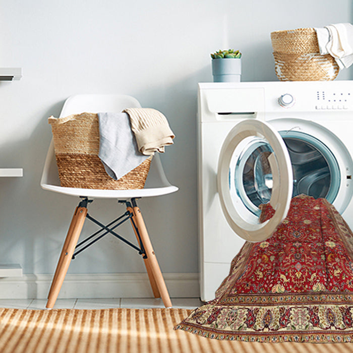 Machine Washable Traditional Sand Brown Rug in a Washing Machine, wshtr3952