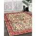 Traditional Brown Persian Rug in Family Room, tr3960