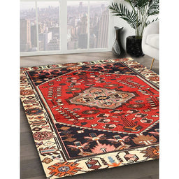 Traditional Red Persian Rug in Family Room, tr3962