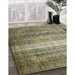 Machine Washable Traditional Antique Bronze Green Rug in a Family Room, wshtr3973