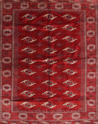 Machine Washable Traditional Red Rug, wshtr3975