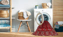 Machine Washable Traditional Red Rug in a Washing Machine, wshtr3975