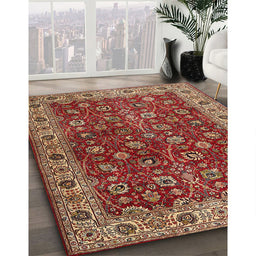 Traditional Red Persian Rug in Family Room, tr3978