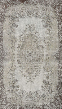 Machine Washable Traditional Pale Silver Gray Rug, wshtr3989