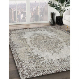Machine Washable Traditional Pale Silver Gray Rug in a Family Room, wshtr3989