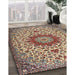 Traditional Brown Medallion Rug in Family Room, tr3992