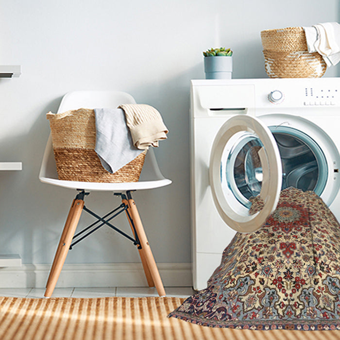 Machine Washable Traditional Brown Sugar Brown Rug in a Washing Machine, wshtr3992
