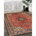 Traditional Red Medallion Rug in Family Room, tr3998