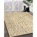 Machine Washable Traditional Sun Yellow Rug in a Family Room, wshtr3999