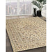 Traditional Khaki Gold Persian Rug in Family Room, tr4000