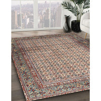 Traditional Light French Beige Brown Persian Rug, tr4018