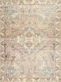 Machine Washable Traditional Vanilla Gold Rug, wshtr4027