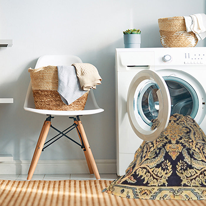 Machine Washable Traditional Coffee Brown Rug in a Washing Machine, wshtr4029