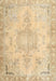 Traditional Brown Gold Persian Rug, tr4038