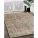 Machine Washable Traditional Dark Almond Brown Rug in a Family Room, wshtr4039