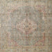 Square Traditional Dark Almond Brown Persian Rug, tr4039