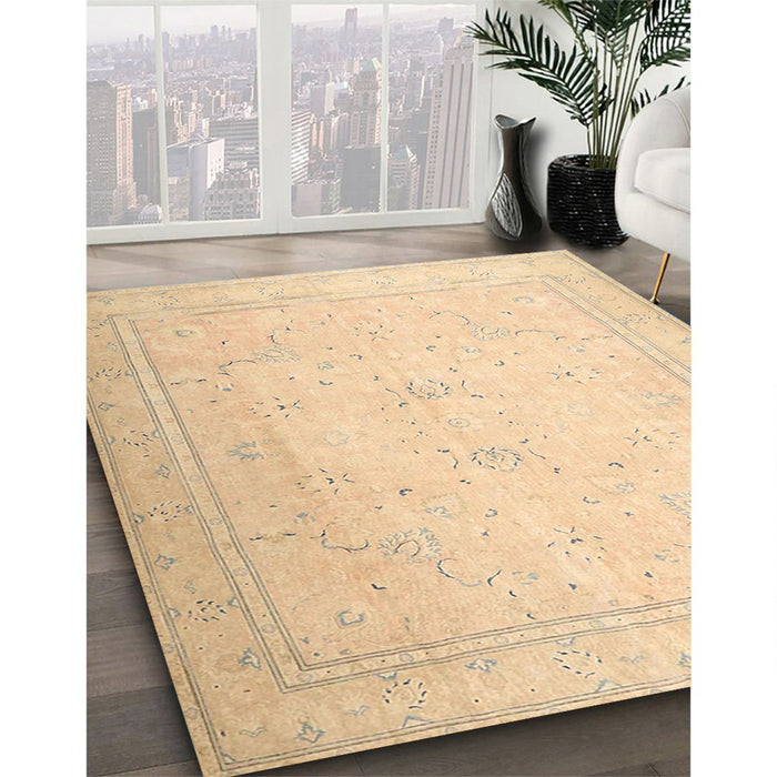 Traditional Brown Gold Persian Rug in Family Room, tr4040