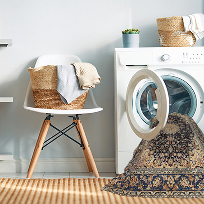 Machine Washable Traditional Taupe Brown Rug in a Washing Machine, wshtr4047