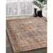 Machine Washable Traditional Dark Gold Brown Rug in a Family Room, wshtr4059