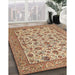 Machine Washable Traditional Sienna Brown Rug in a Family Room, wshtr405