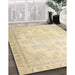 Traditional Khaki Gold Persian Rug in Family Room, tr4060