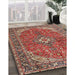 Traditional Red Medallion Rug in Family Room, tr4064