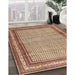 Machine Washable Traditional Brown Red Rug in a Family Room, wshtr4066