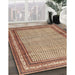 Traditional Brown Red Persian Rug in Family Room, tr4066