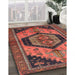 Traditional Rust Pink Persian Rug in Family Room, tr4075