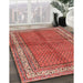 Traditional Sunrise Orange Persian Rug in Family Room, tr4076