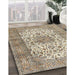 Traditional Brown Persian Rug in Family Room, tr4080
