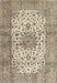 Traditional Brown Persian Rug, tr4080