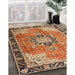 Traditional Mahogany Brown Persian Rug in Family Room, tr4081